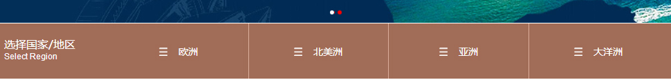 洛壹網絡網站案例