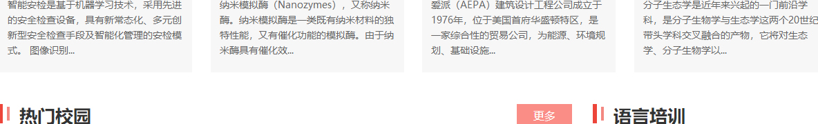 洛壹網絡網站案例