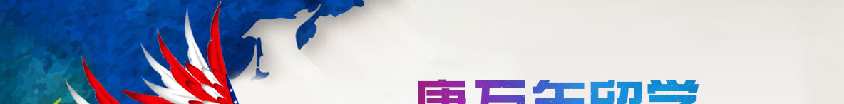 洛壹網絡網站案例