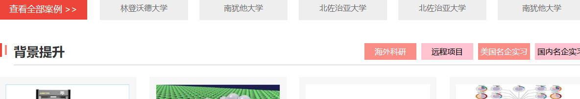 洛壹網絡網站案例