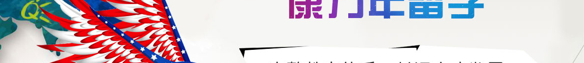 洛壹網絡網站案例