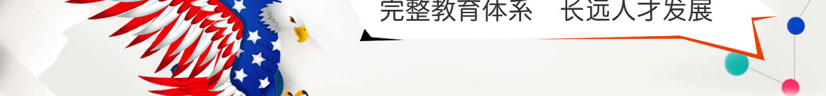 洛壹網絡網站案例