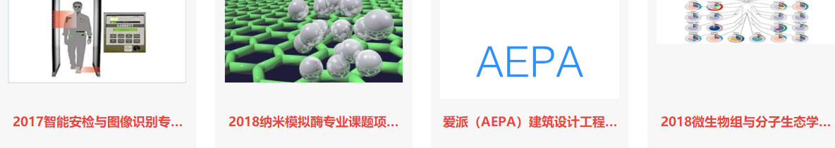 洛壹網絡網站案例
