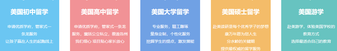 洛壹網絡網站案例
