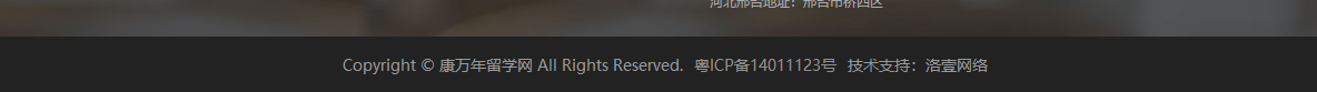 洛壹網絡網站案例
