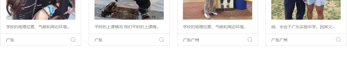洛壹網絡網站案例