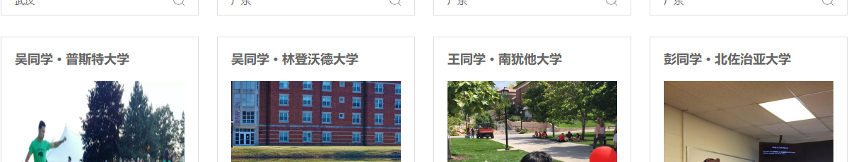 洛壹網絡網站案例