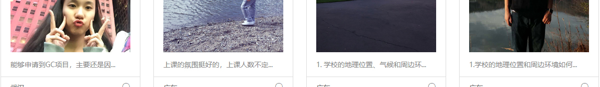 洛壹網絡網站案例