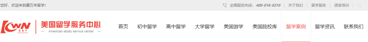 洛壹網絡網站案例