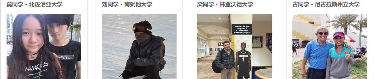 洛壹網絡網站案例