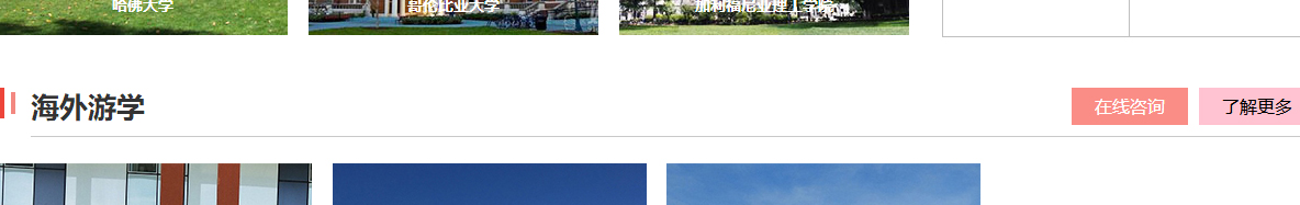 洛壹網絡網站案例