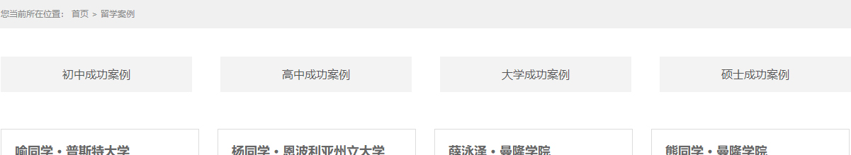 洛壹網絡網站案例
