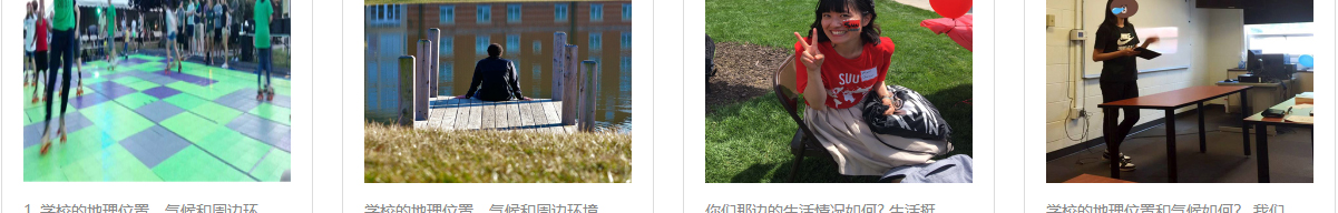 洛壹網絡網站案例