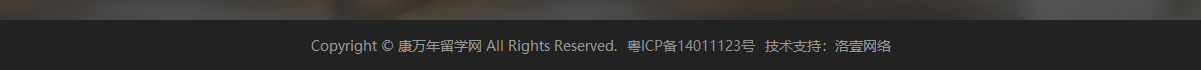 洛壹網絡網站案例