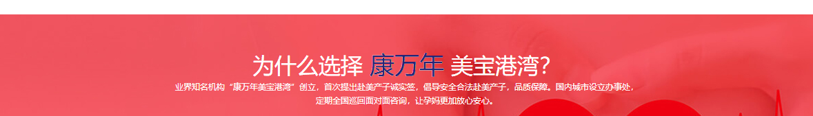 洛壹網絡網站案例