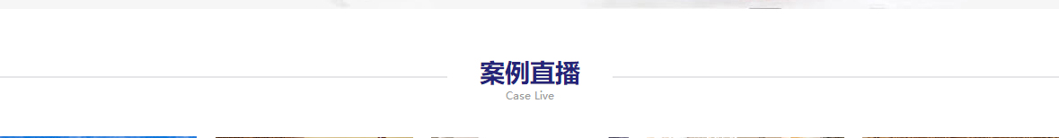 洛壹網絡網站案例