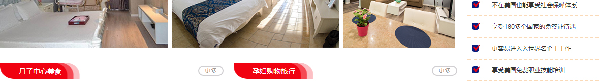 洛壹網絡網站案例