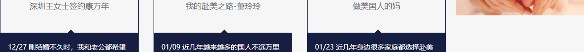 洛壹網絡網站案例