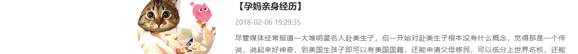 洛壹網絡網站案例