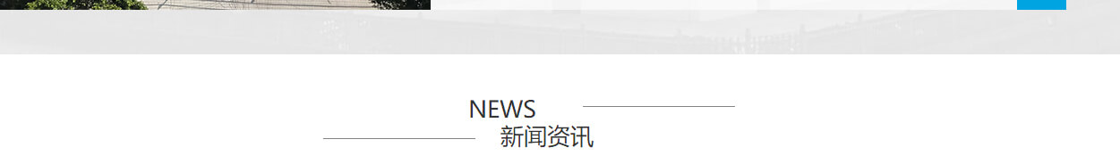 洛壹網絡網站案例