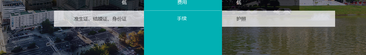 寶生海外頁面設計效果圖