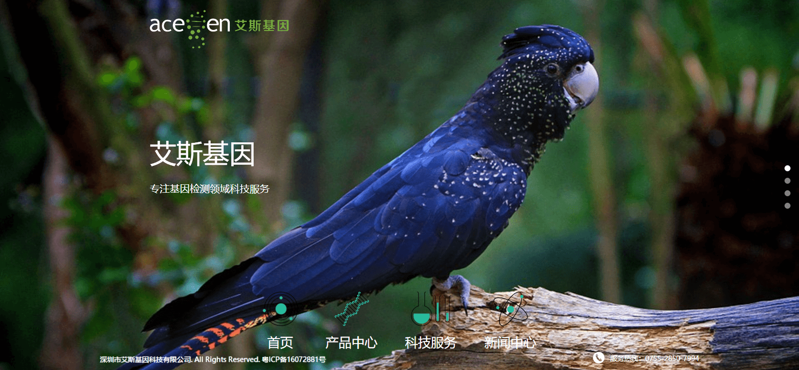 艾斯基因頁面設計效果圖