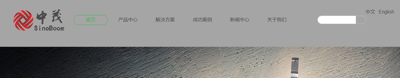 洛壹網絡網站案例