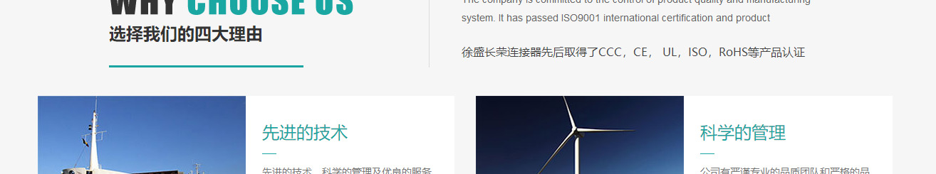洛壹網絡網站案例