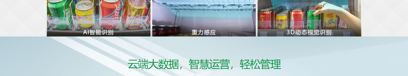 洛壹網絡網站案例