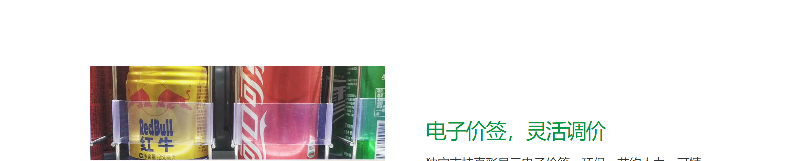 洛壹網絡網站案例