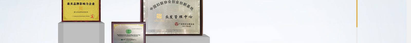 洛壹網絡網站案例