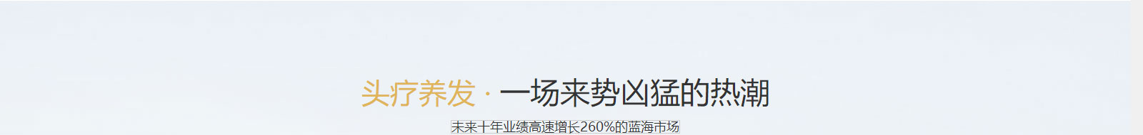 洛壹網絡網站案例