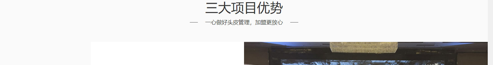 洛壹網絡網站案例