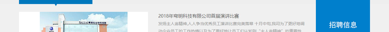 洛壹網絡網站案例