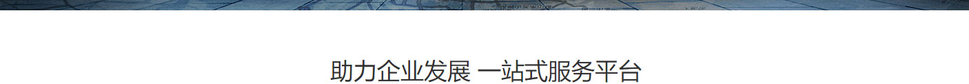 洛壹網(wǎng)絡網(wǎng)站案例