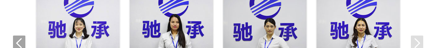 洛壹網(wǎng)絡網(wǎng)站案例