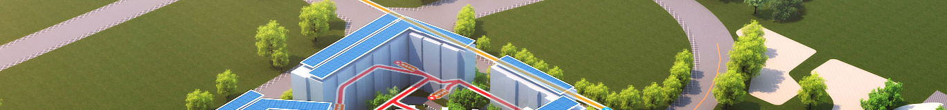 洛壹網絡網站建設案例