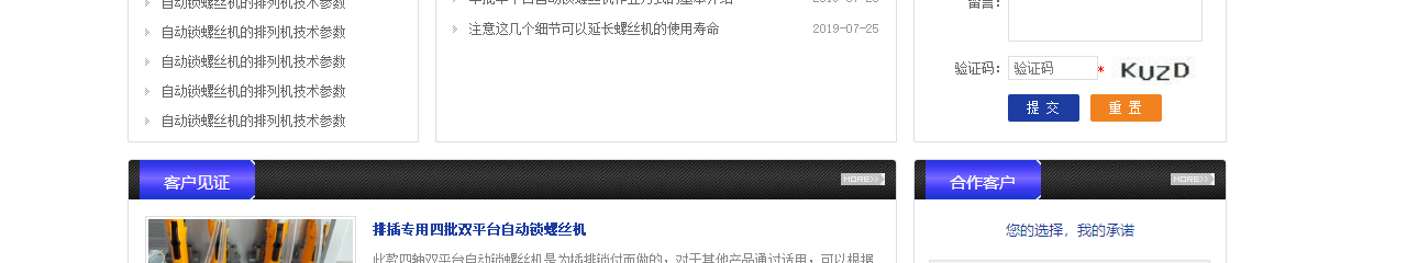 洛壹網絡網站建設案例
