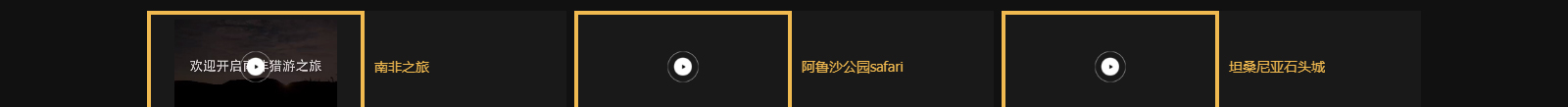 洛壹網絡網站案例