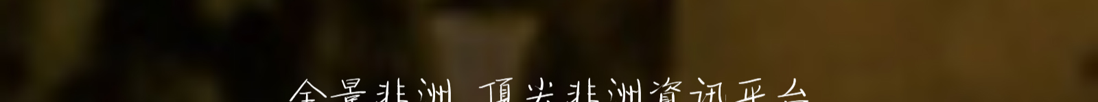 洛壹網絡網站案例