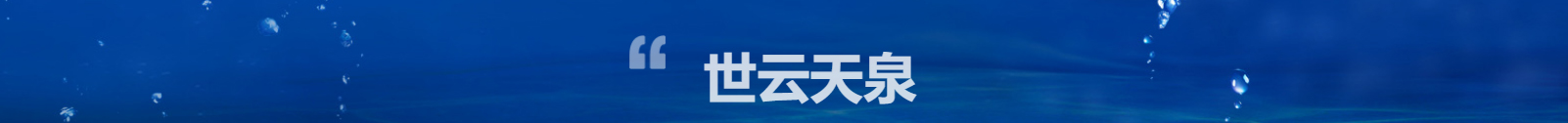 洛壹網絡網站案例