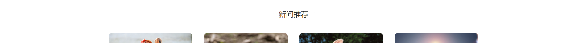 企業網站建設案例_深圳網站建設_深圳網站開發